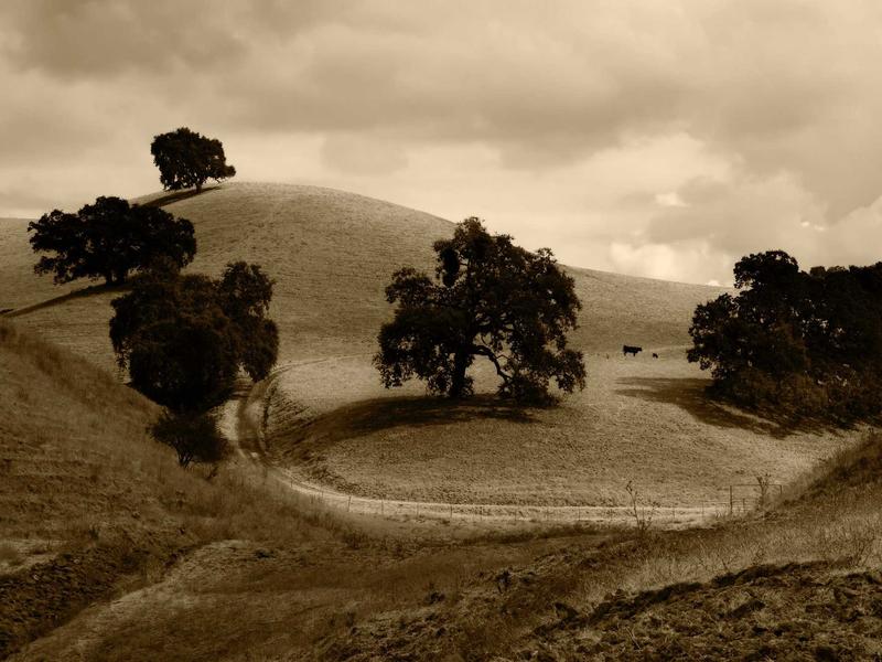 sudoku training mode screenshot 4