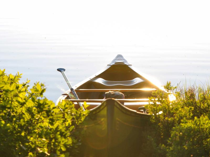 sudoku training mode